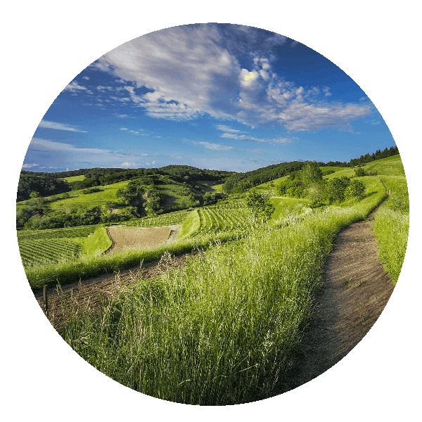 Vacanze Carducci Appartamenti con piscina a Castagneto Carducci